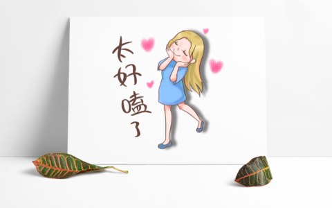 《小日子》顧茉莉送給張善亞的包是假的嗎